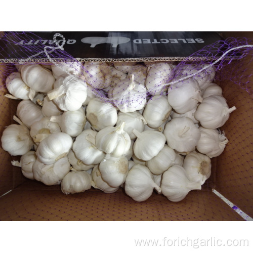 New Pure White Garlic Best Quality